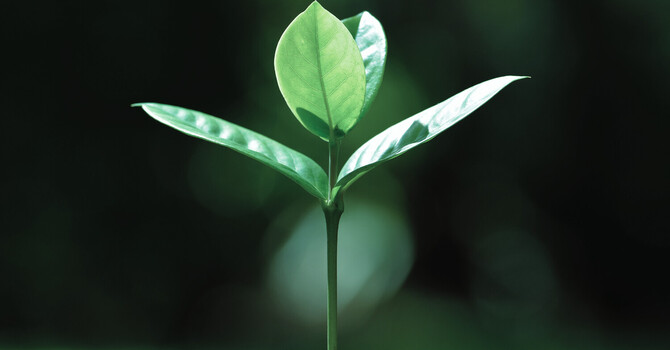 Personal Growth & Guidance